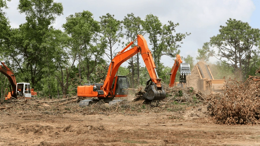 Cost to Clear Land in Florida | Bay to Bay Landscaping